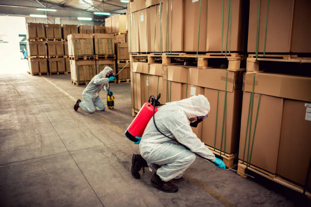 Best Exterminator Services  in Warsaw, IL