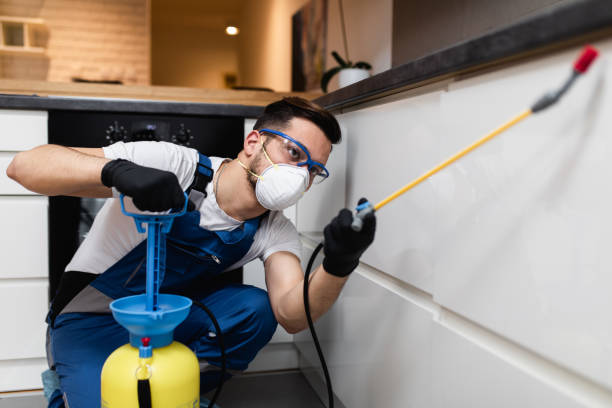 Best Bed Bug Extermination  in Warsaw, IL