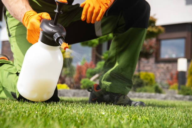 Best Affordable Pest Control Services  in Warsaw, IL