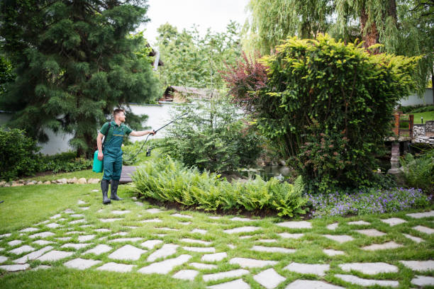 Best Pest Control Treatment  in Warsaw, IL