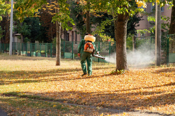 Best Pest Control Near Me  in Warsaw, IL